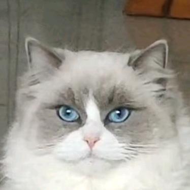 •͈ ₃ •͈
