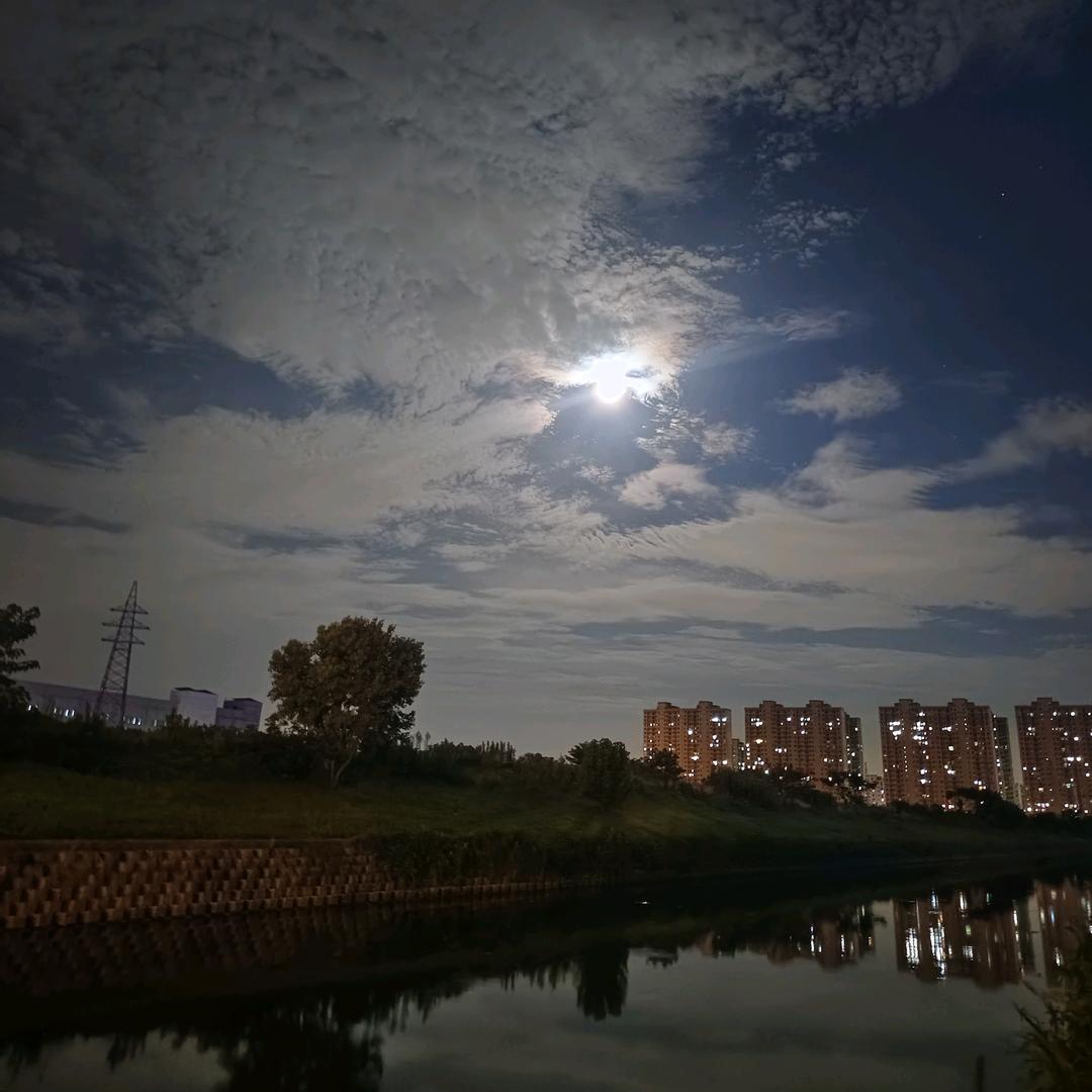麦嘟嘟