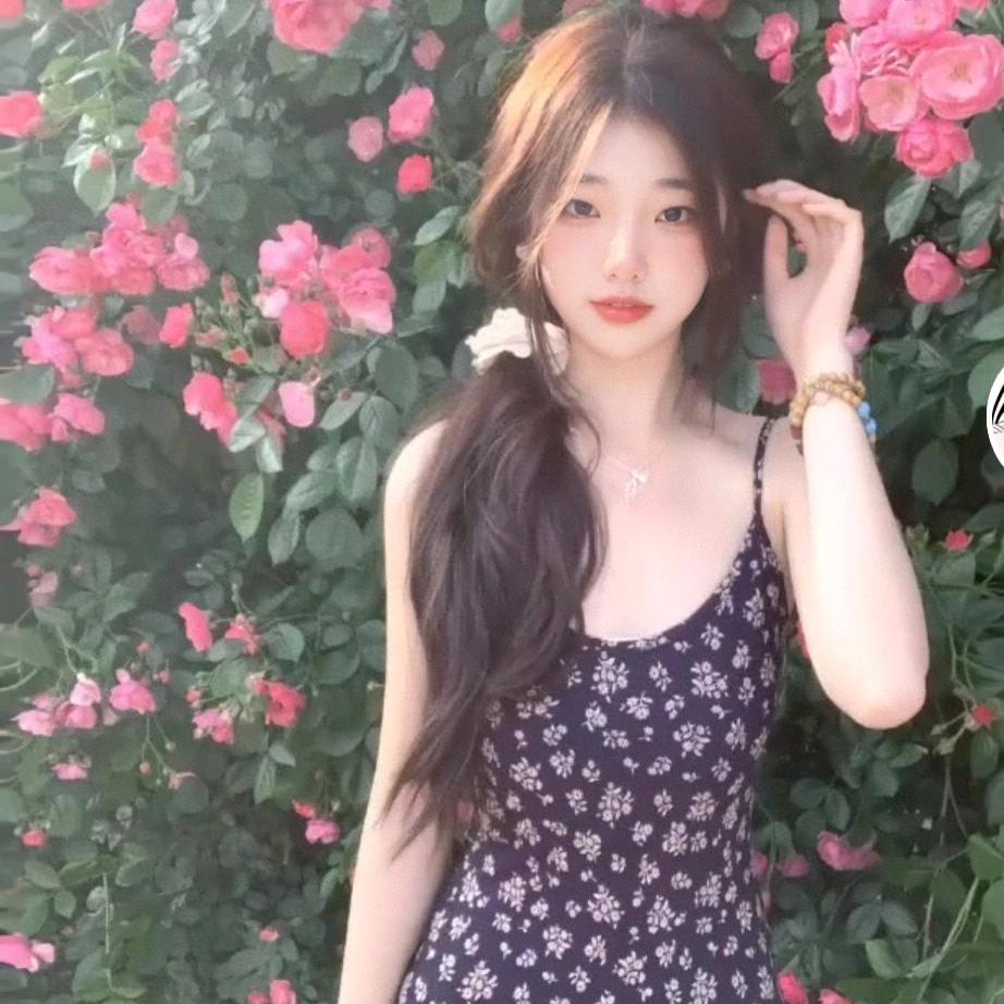 梅有边界