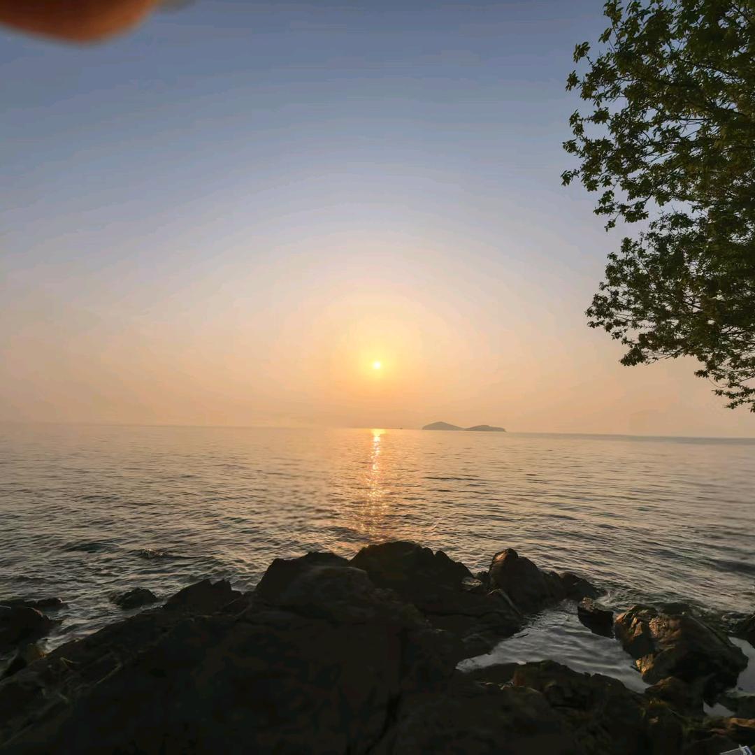 金点