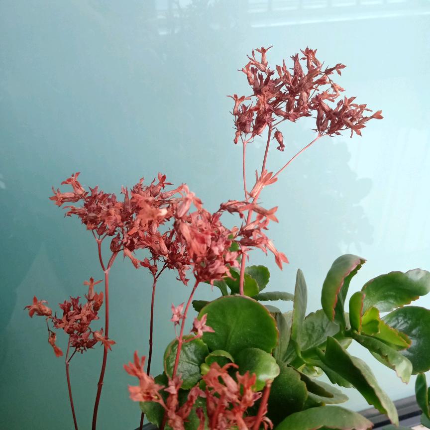 小生鲜