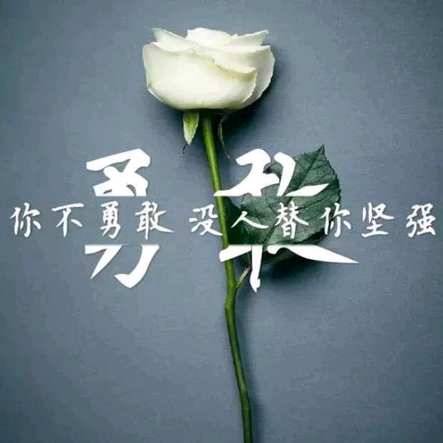 🦋ꦿ᭄໊零点🕊᭄莳绱ꦿᩚ٭