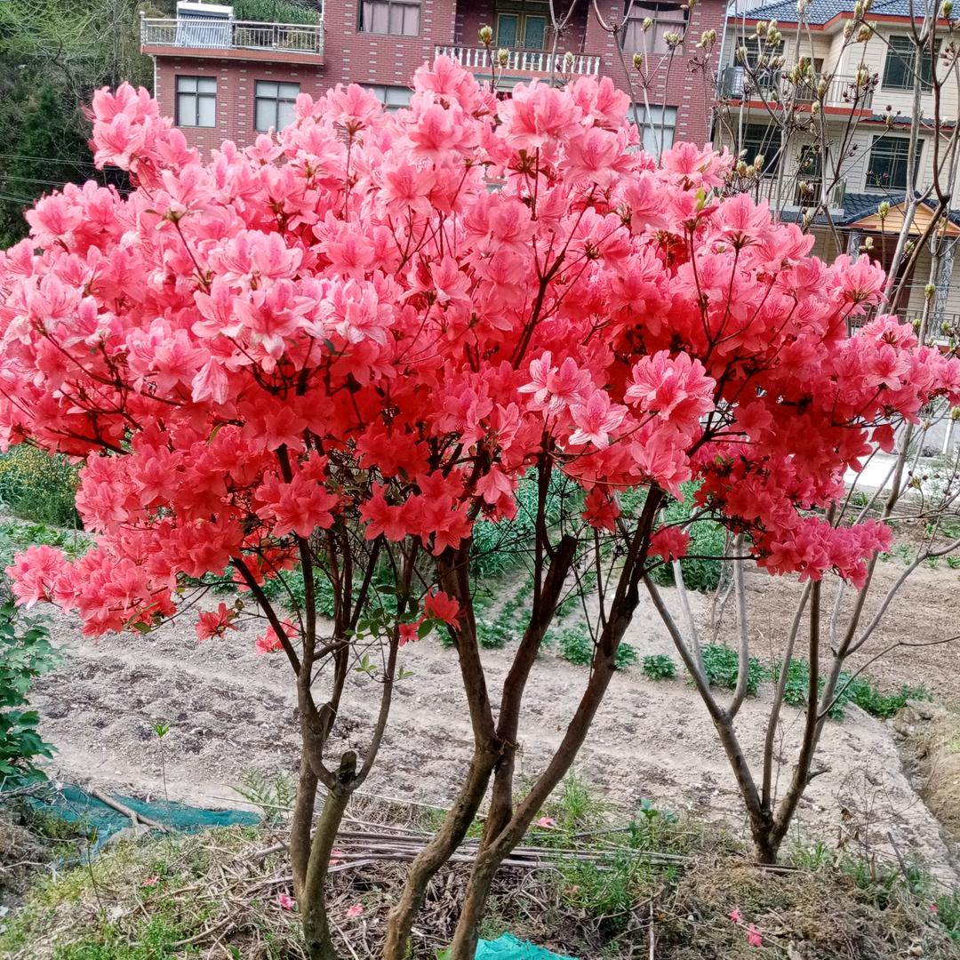 开心过好每一天