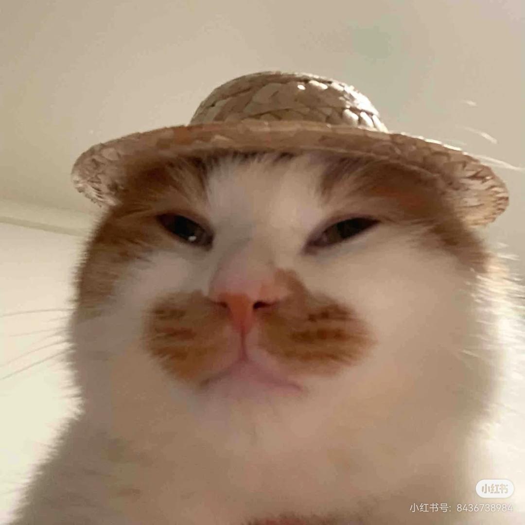 萌萌狮子（游戏直播）