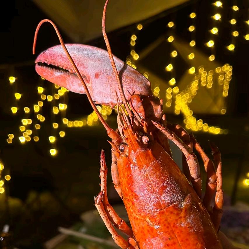 🌠🌠流星雨♍♍♍