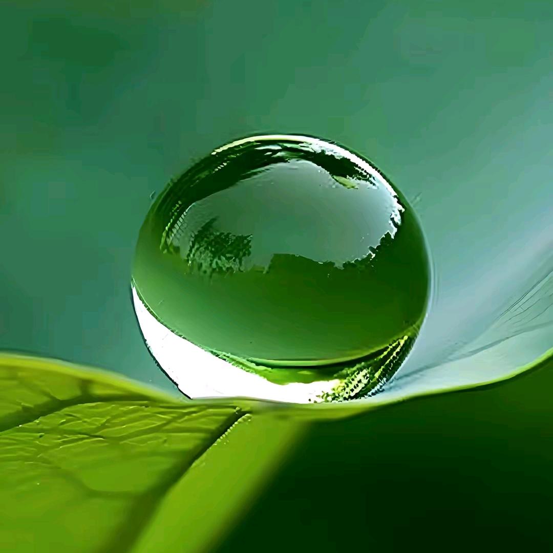 🇨🇳忘不了才怪1️⃣3️⃣7️⃣