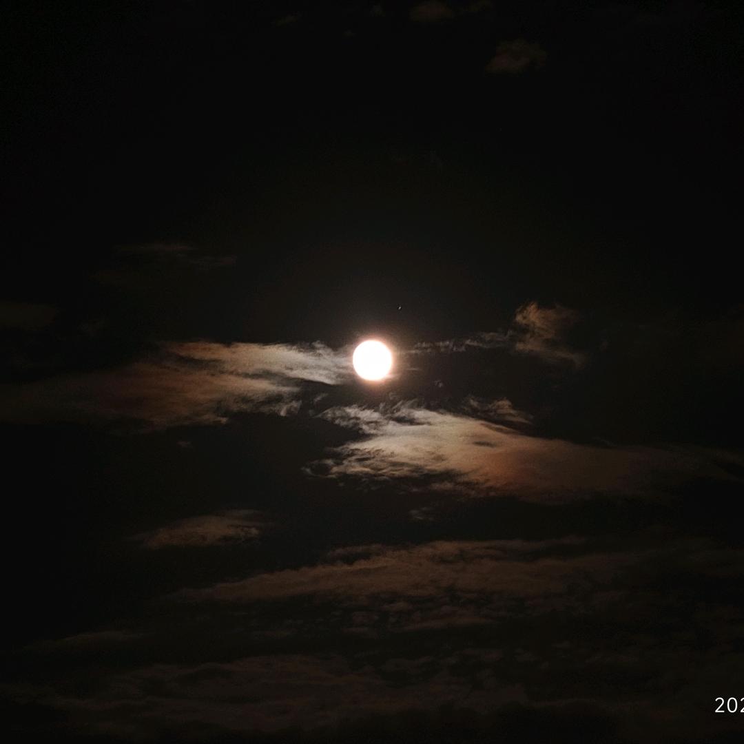 夜语歌