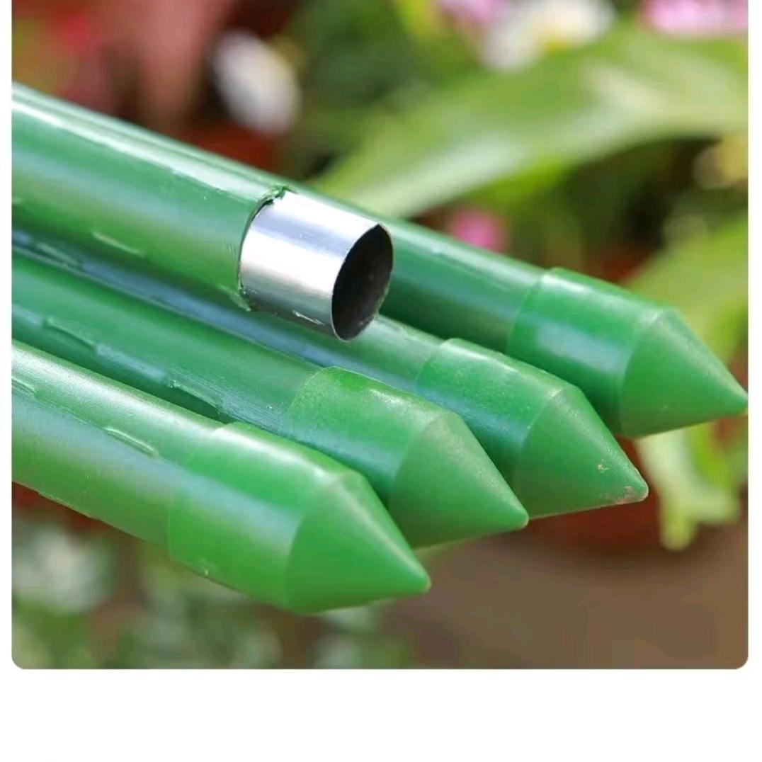 燕子🍃瓜藤搭架