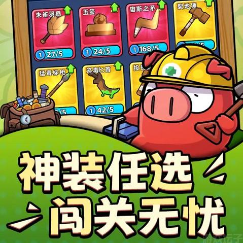 口袋宠物猪-小陈