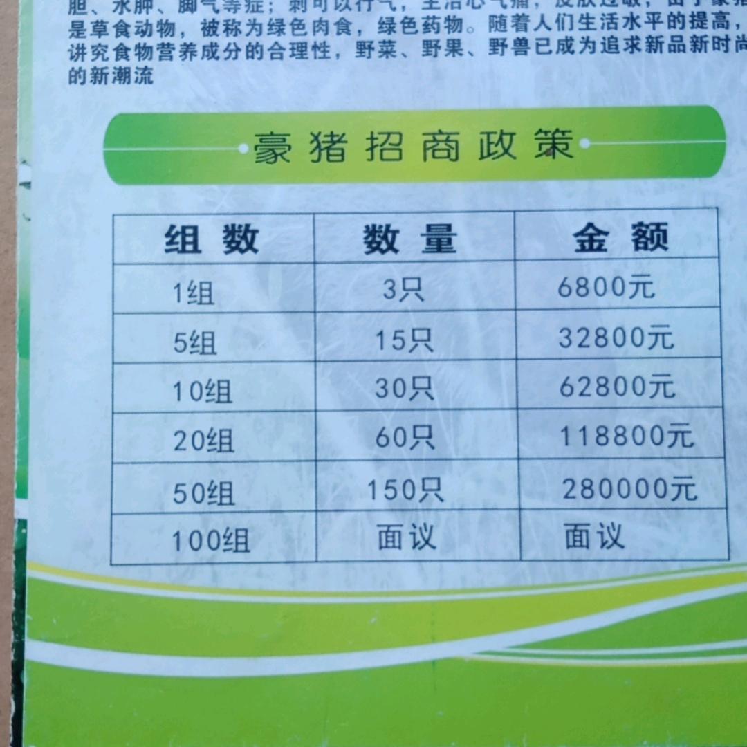 南台村豪猪养殖基地1号