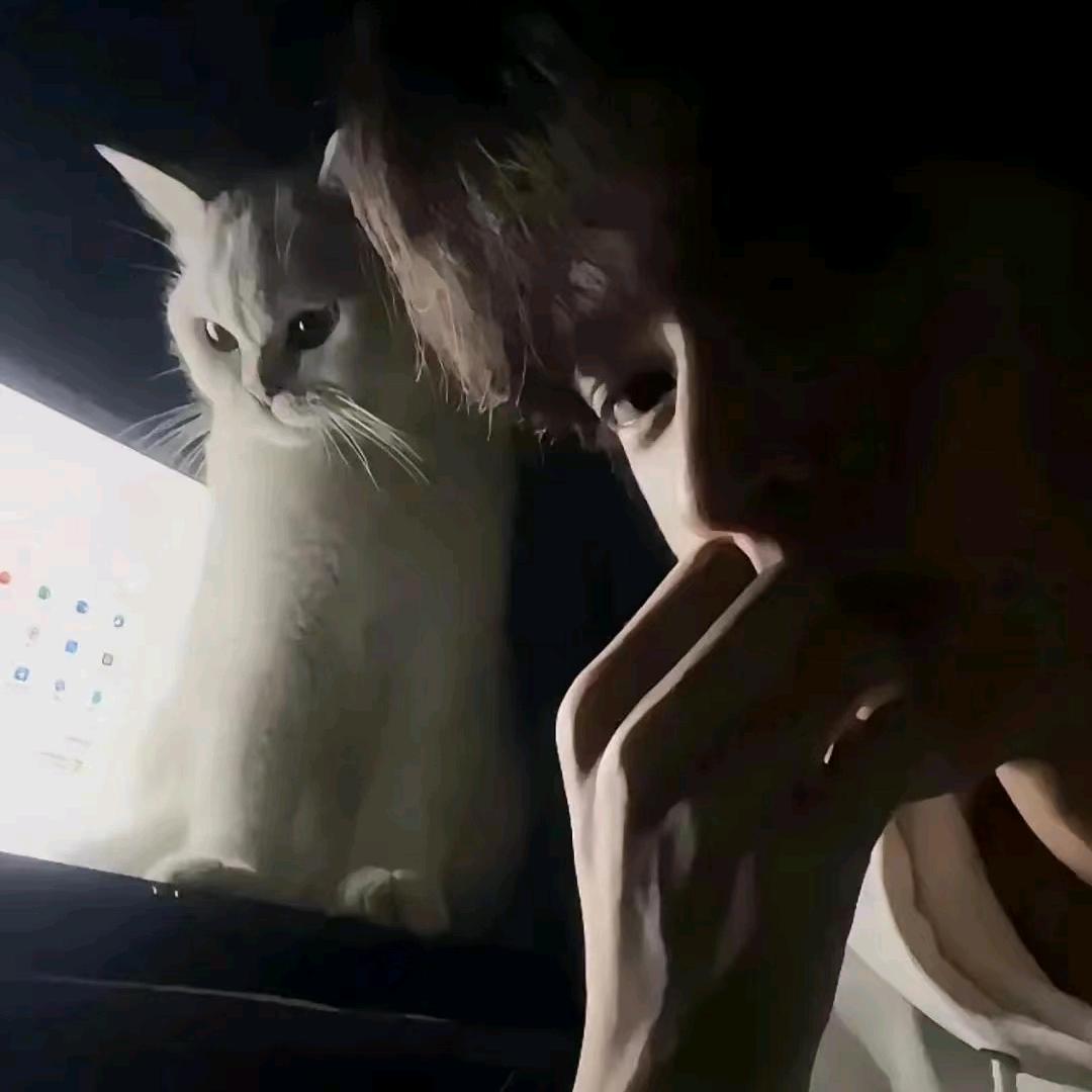 芋泥牛乳小丸紫