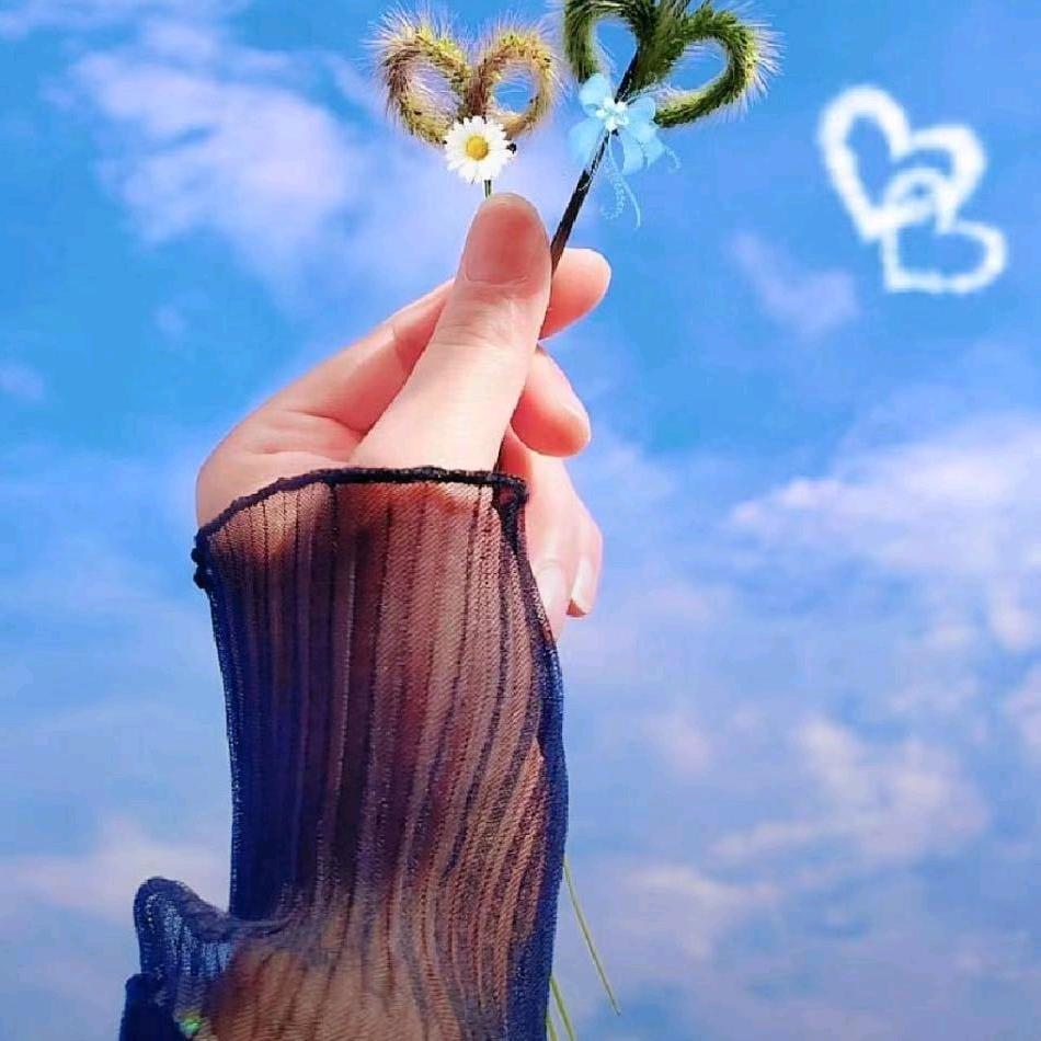 云淡风轻🦋