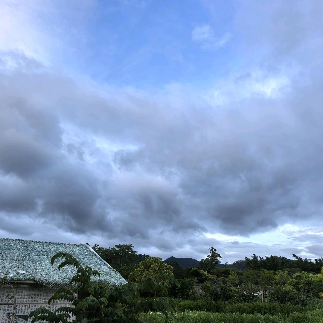 🙏🙏🙏悟🙏🙏🙏