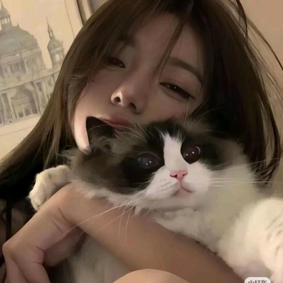 西瓜🍉