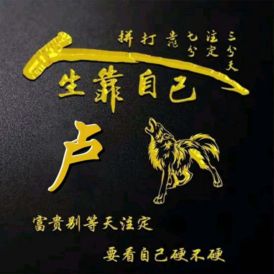 进哥