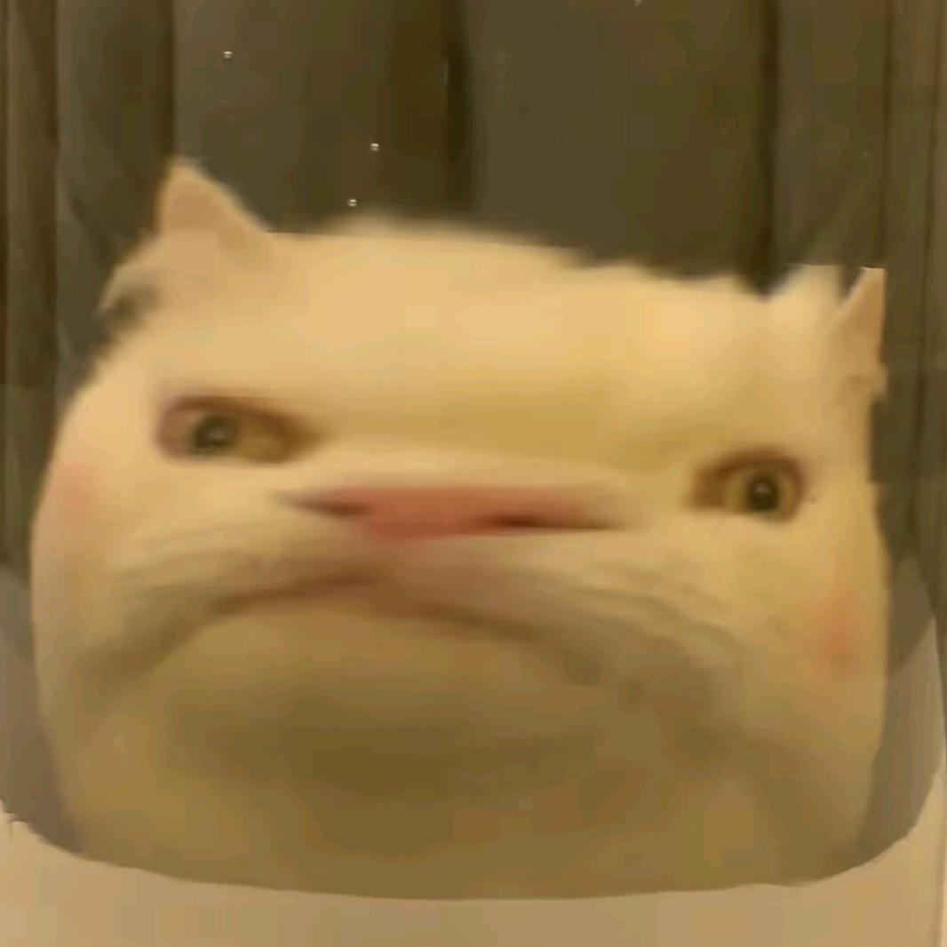 盐水鸭