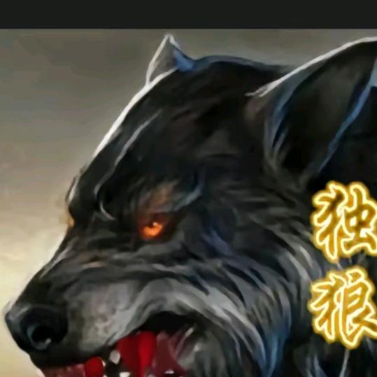 独狼🐺行动Cgm安装空调旧空调家电回收
