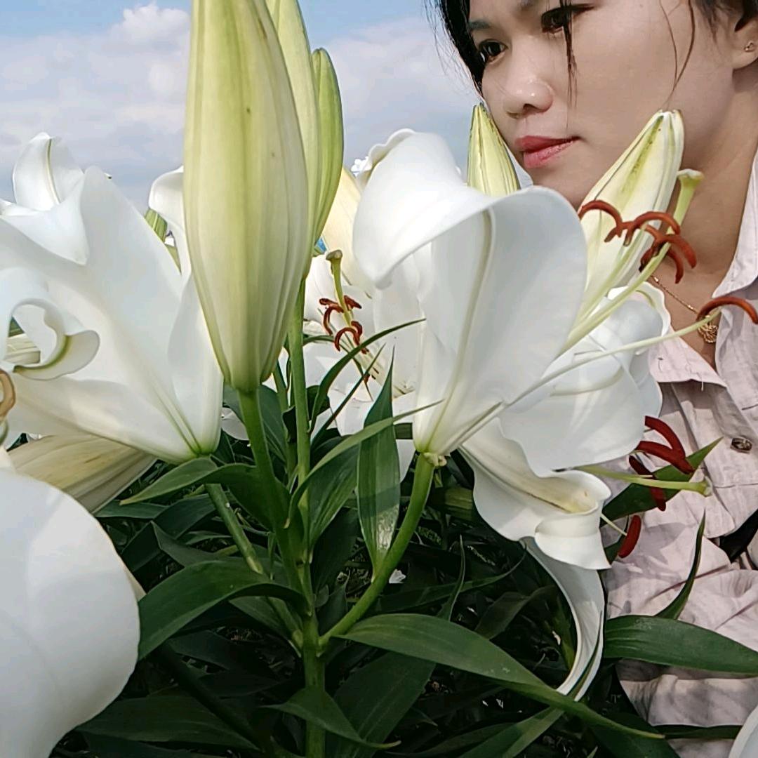 💞༊王ღ᭄后ꦿ꯭এ᭄余💞生