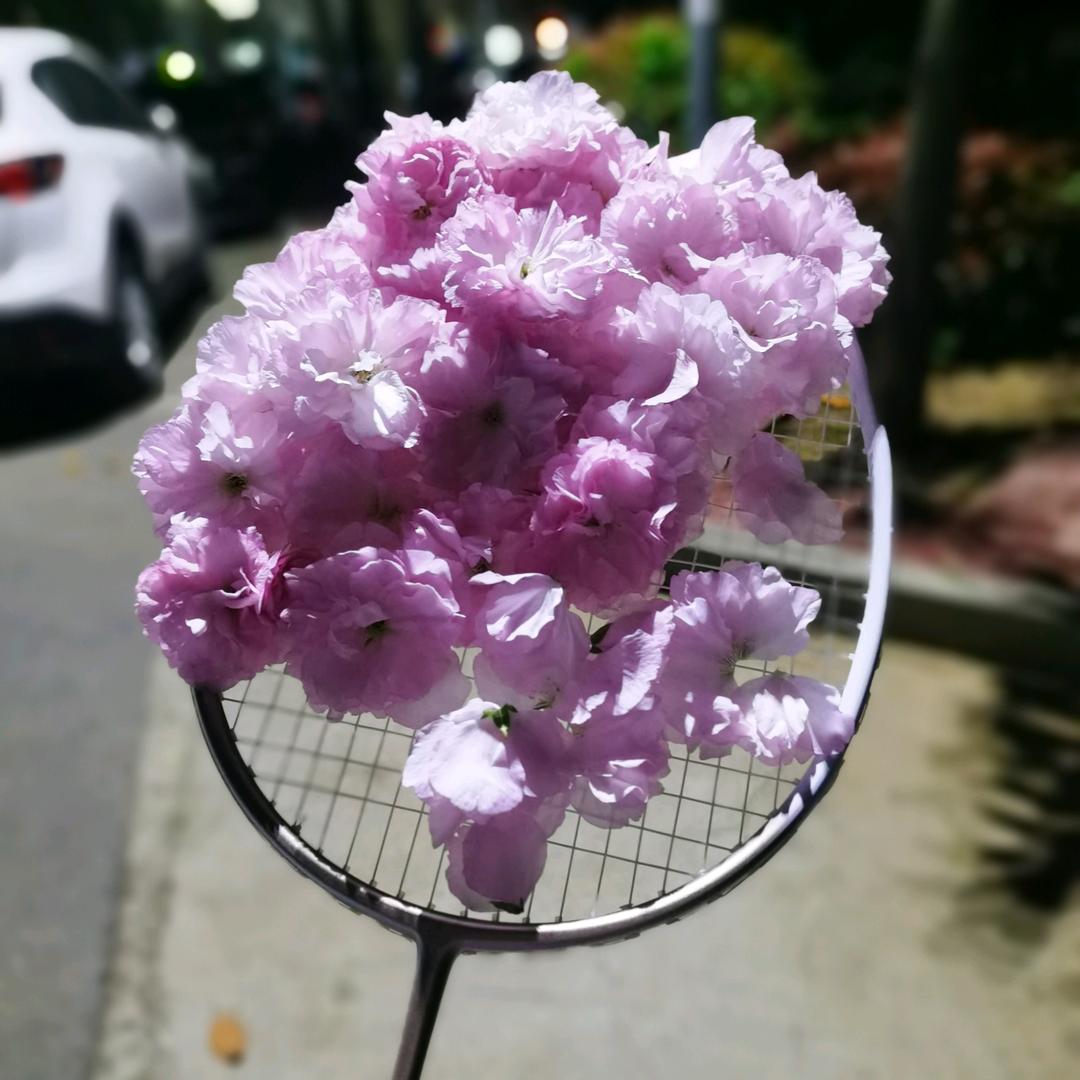 桃花♡