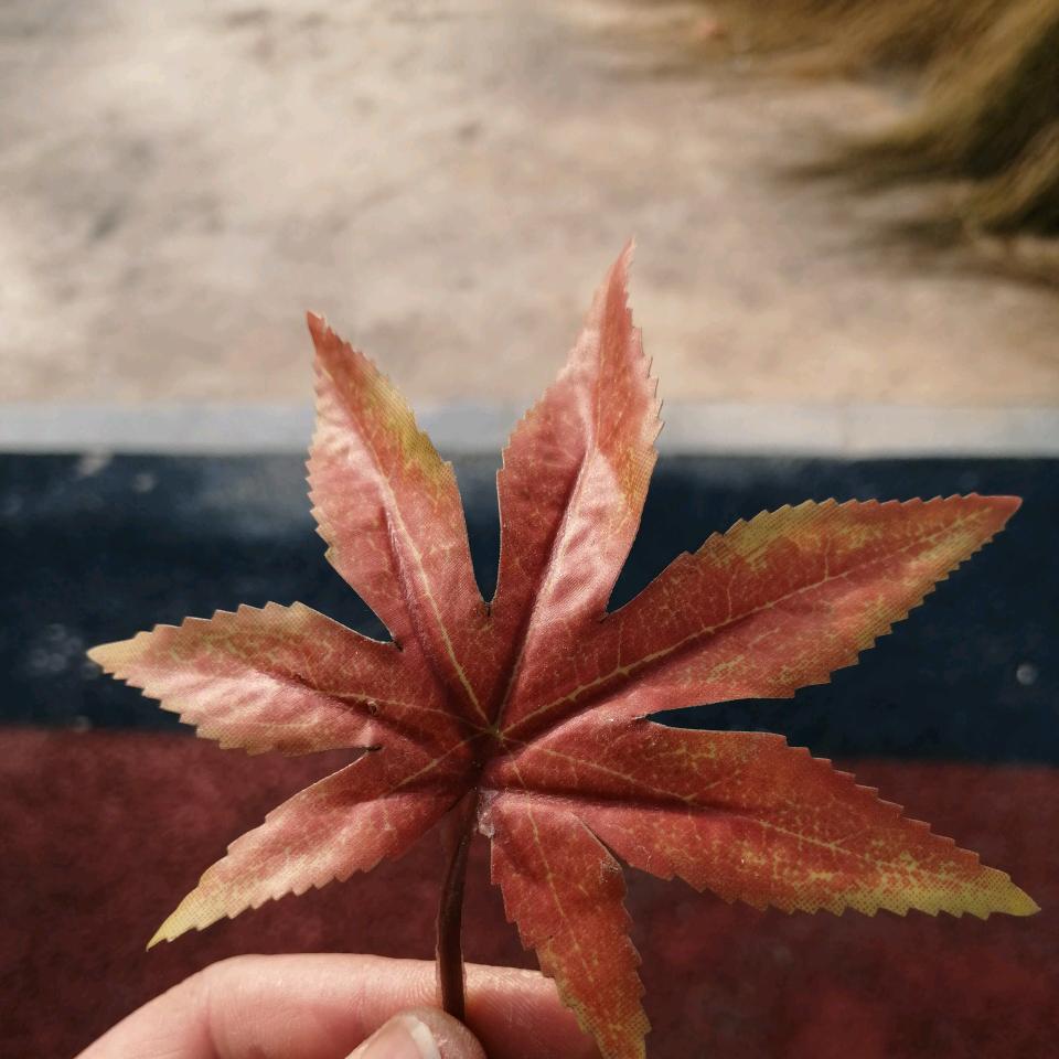 彬彬有礼