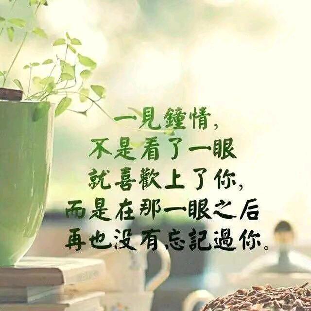 遇萤