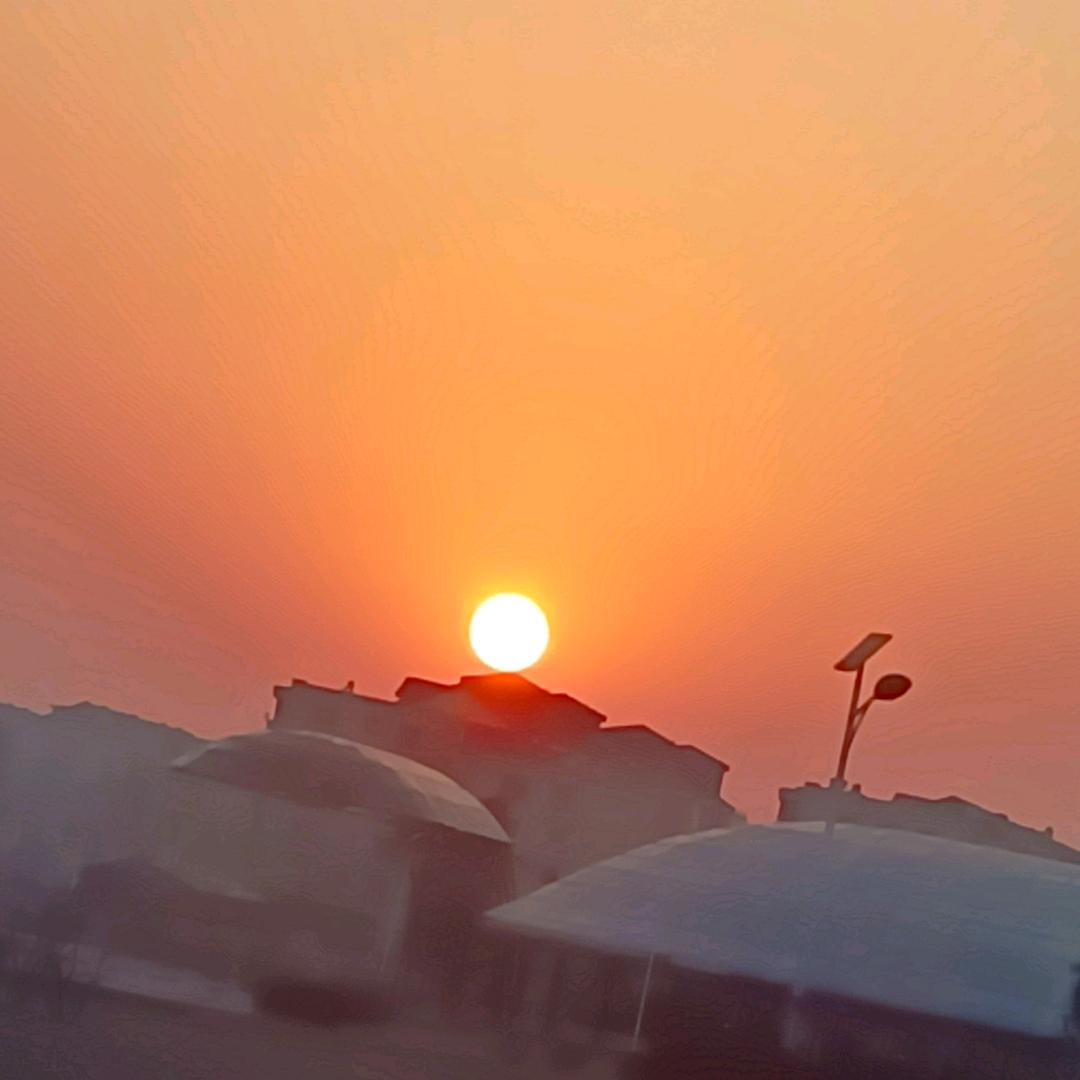 陌然浅笑
