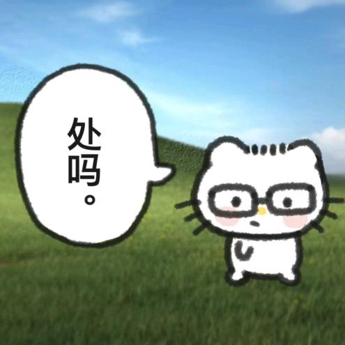 会飞的眼镜