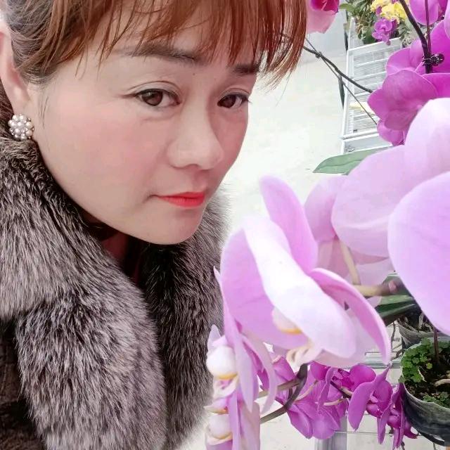 从头开始