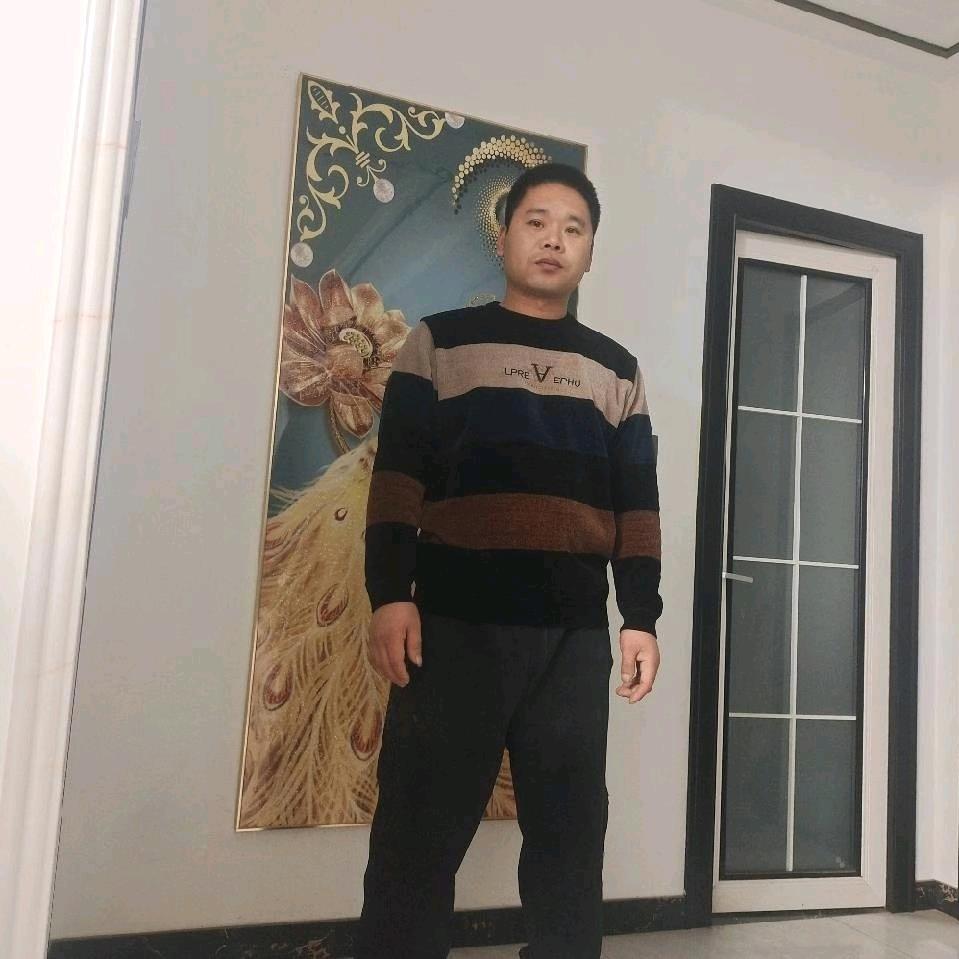 一天一趟