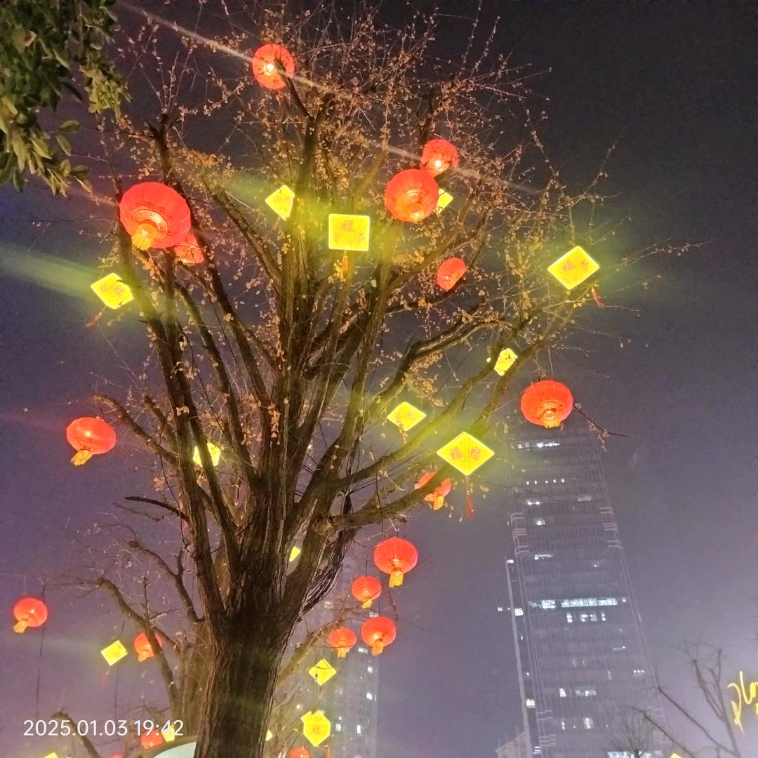 ༺ཉི།雪后初暖阳⁵²⁰༒ۣ¹³¹⁴།ཉ