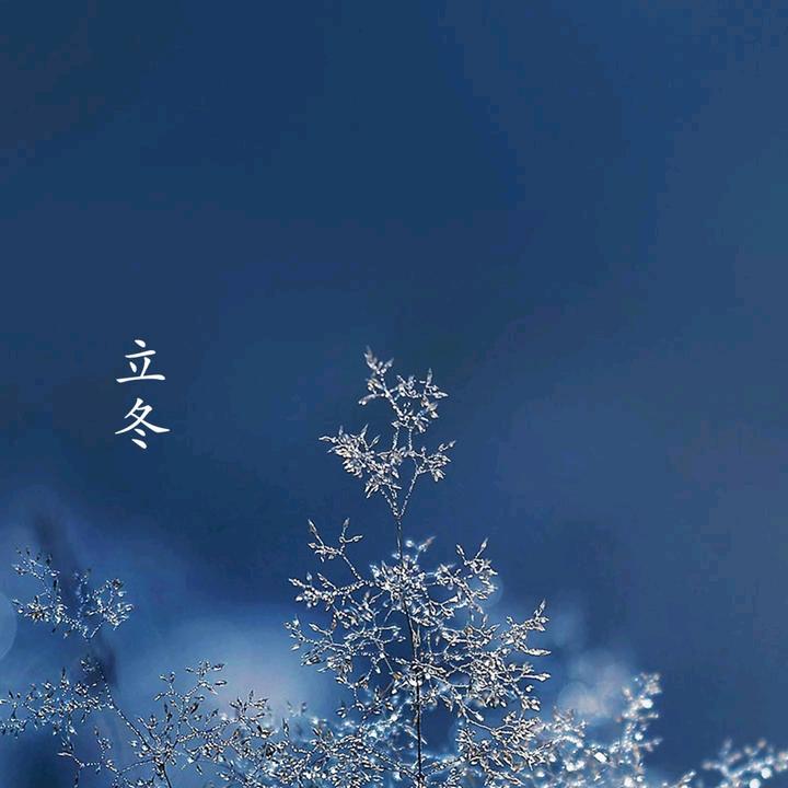 骑着蚂蚁上高速