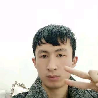 何振