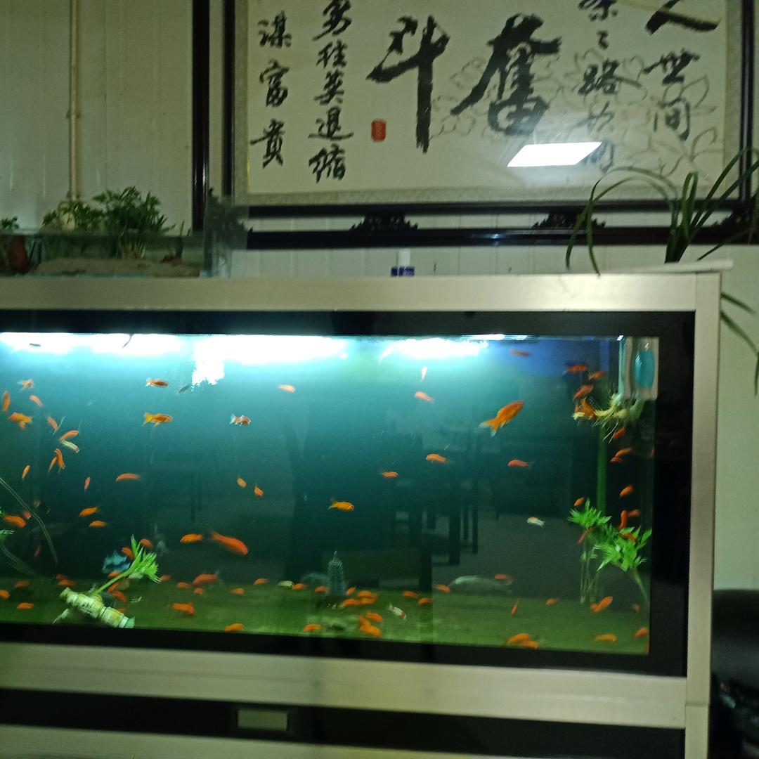 二月二十二