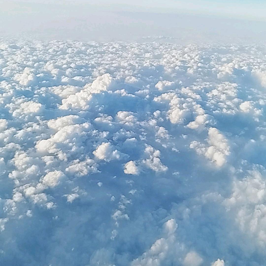 美好的明天，继续努力