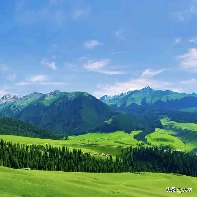 瑞恩