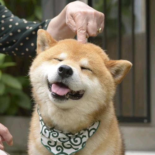 禅游易成