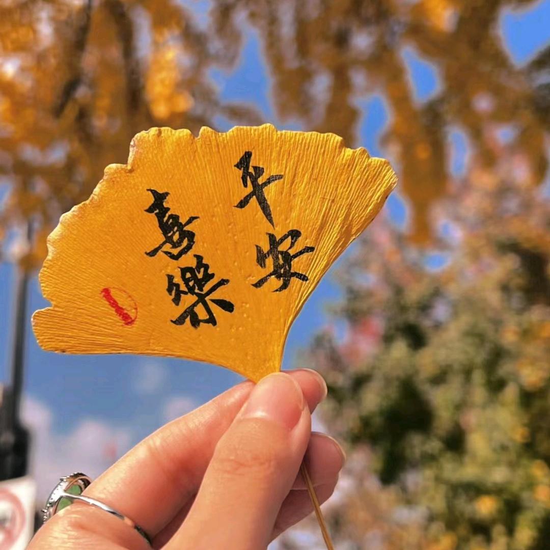 从头再来_213817460