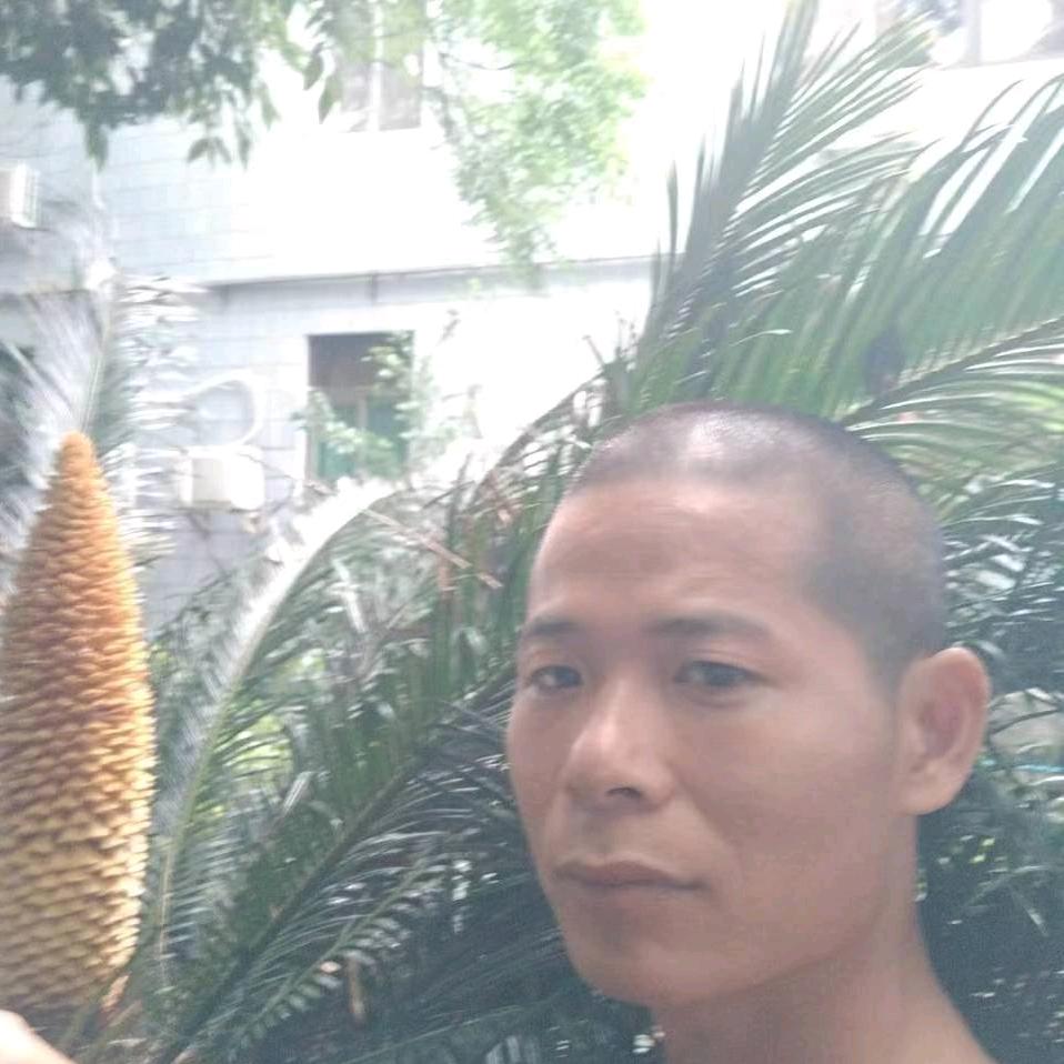 放下