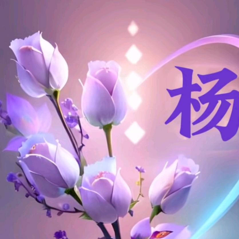 洁婧