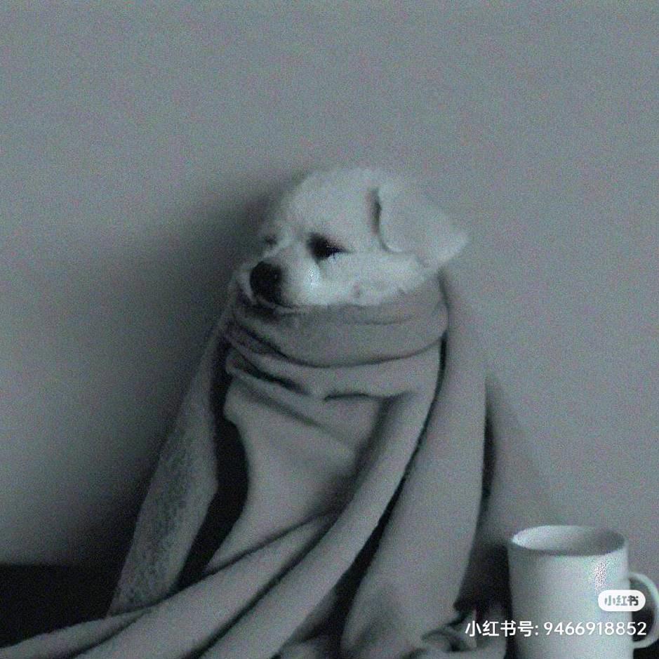 式怒时尚精品馆