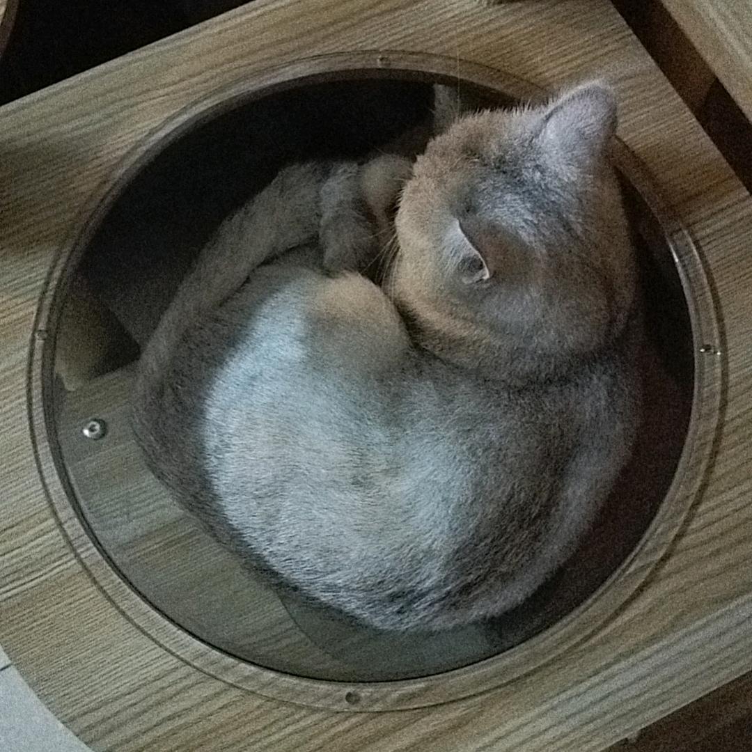 佳佳好物分享