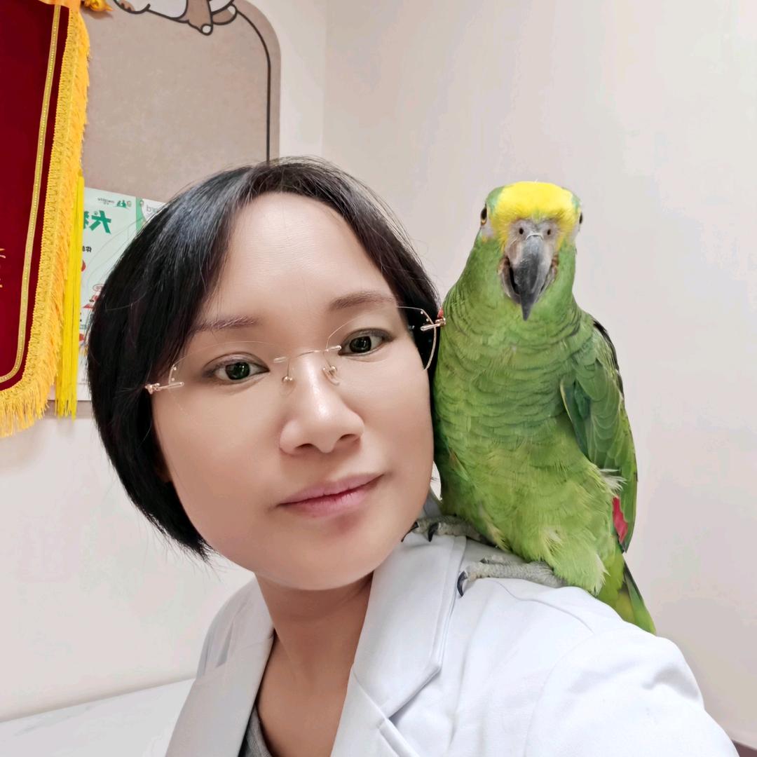 丁姐今天不看诊