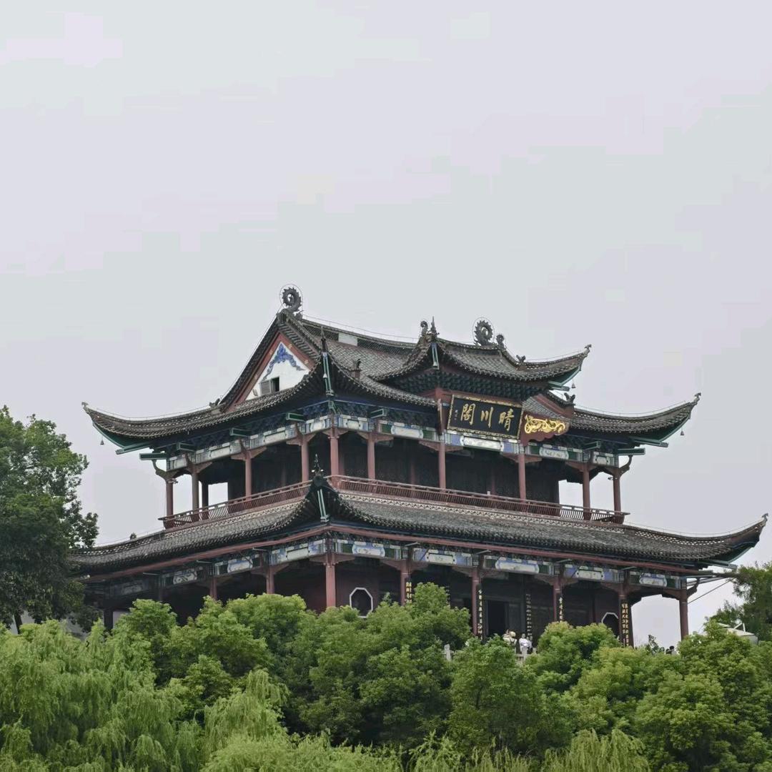 随心