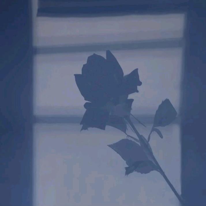木块玉头像