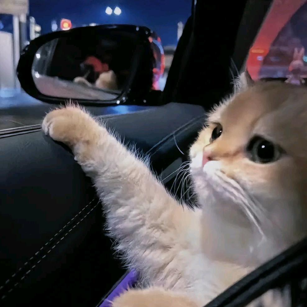 AAA建材私发张总