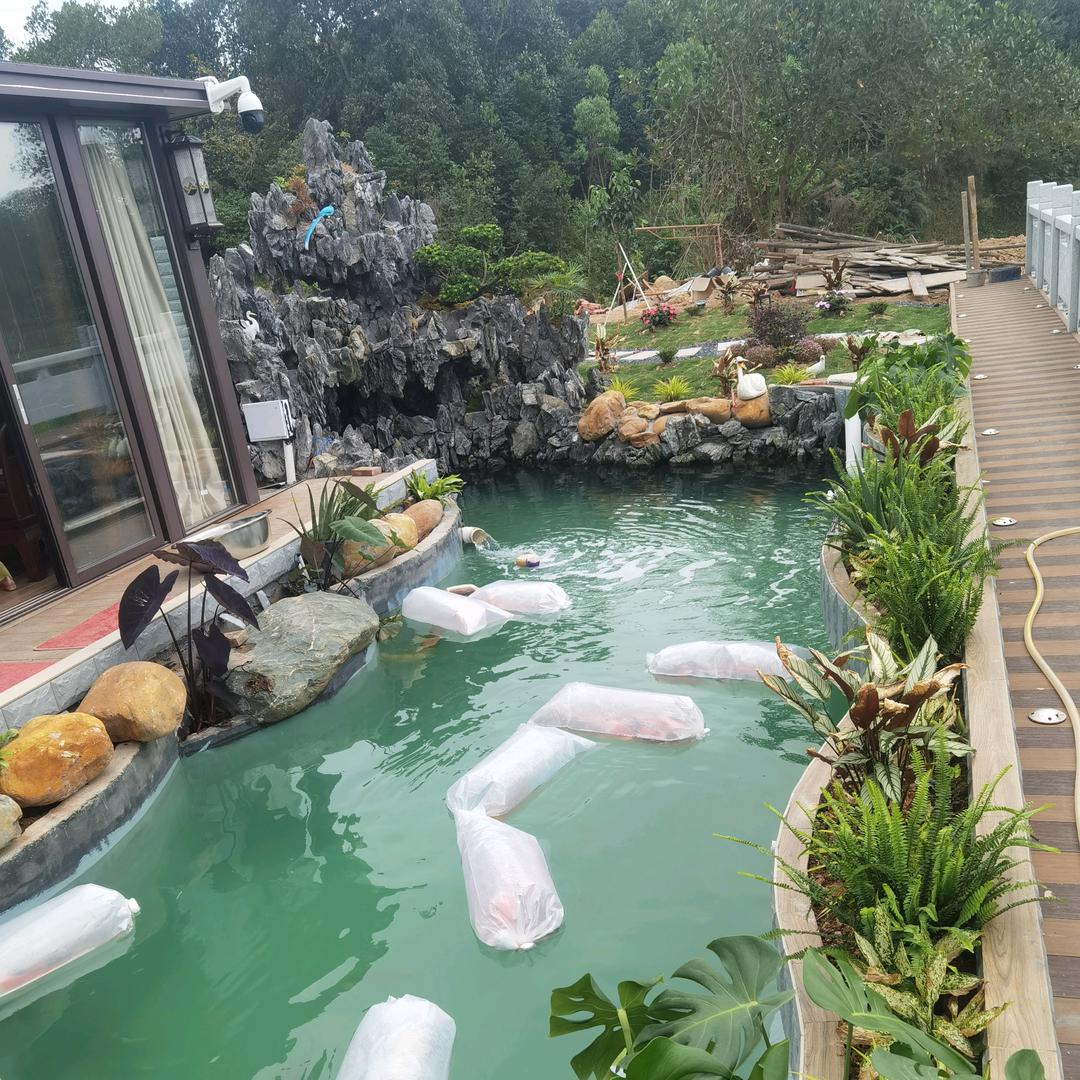 潇洒锦鲤