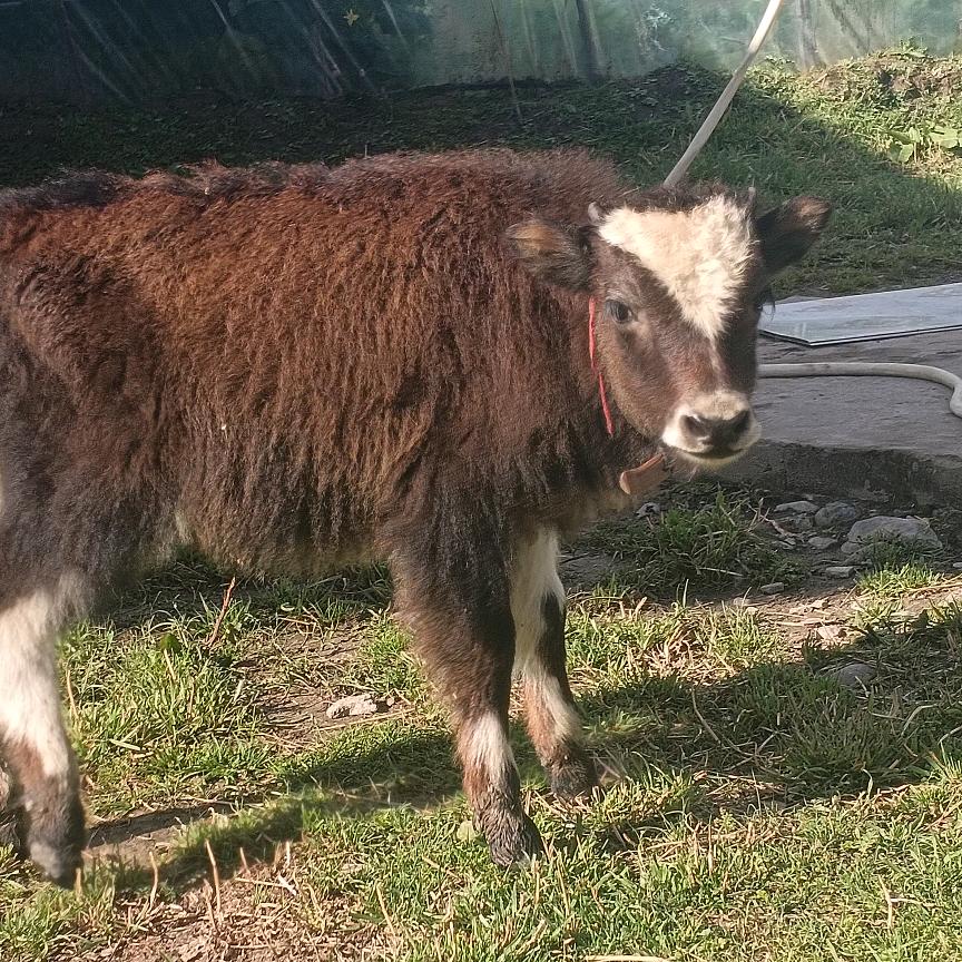 藏AK哥1⃣3⃣7⃣6⃣