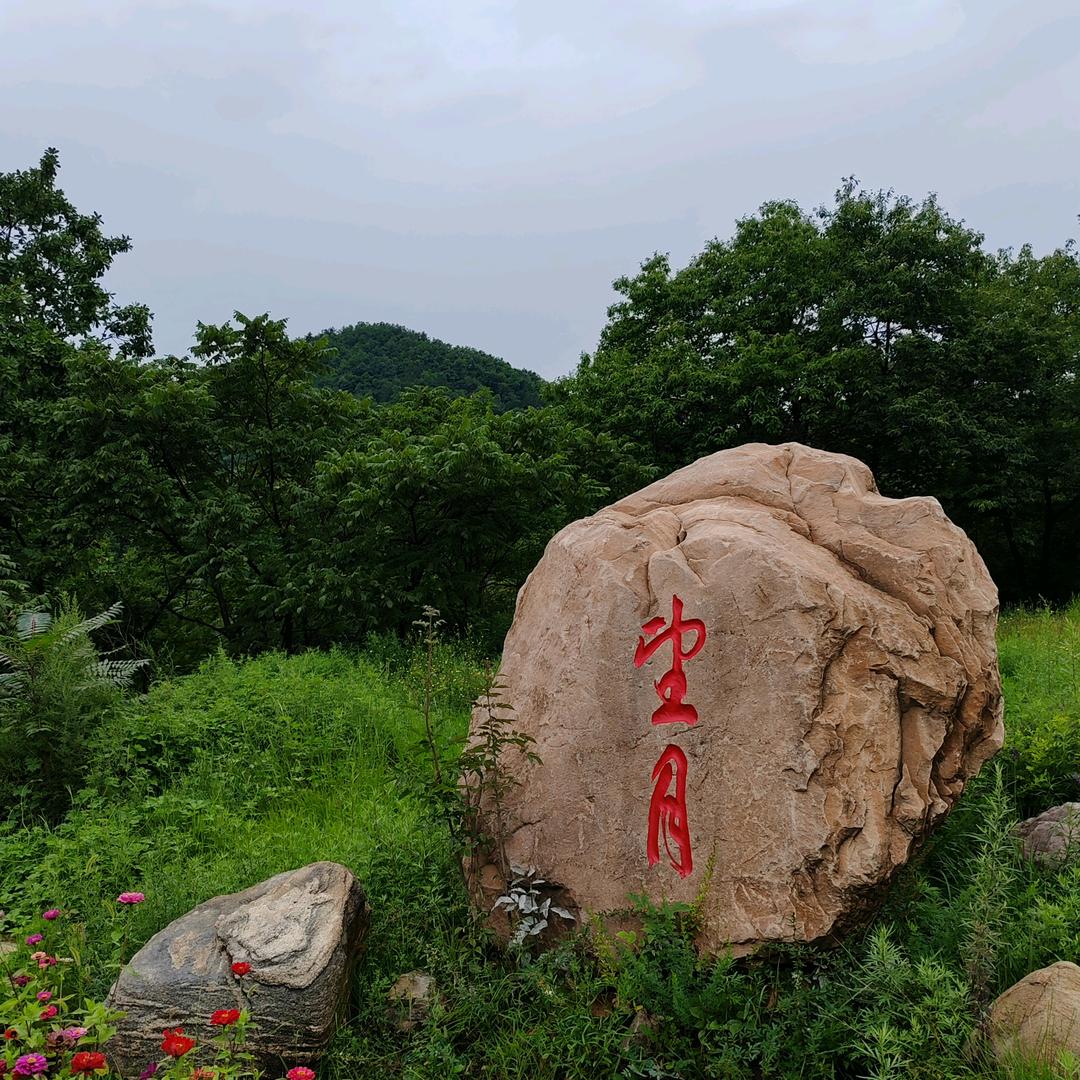飞龙