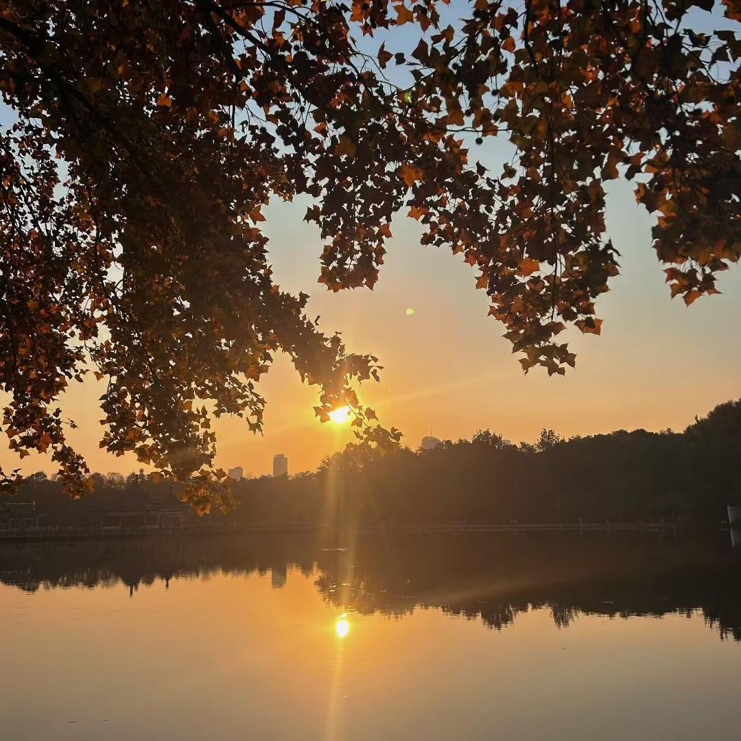 光模块封装设备