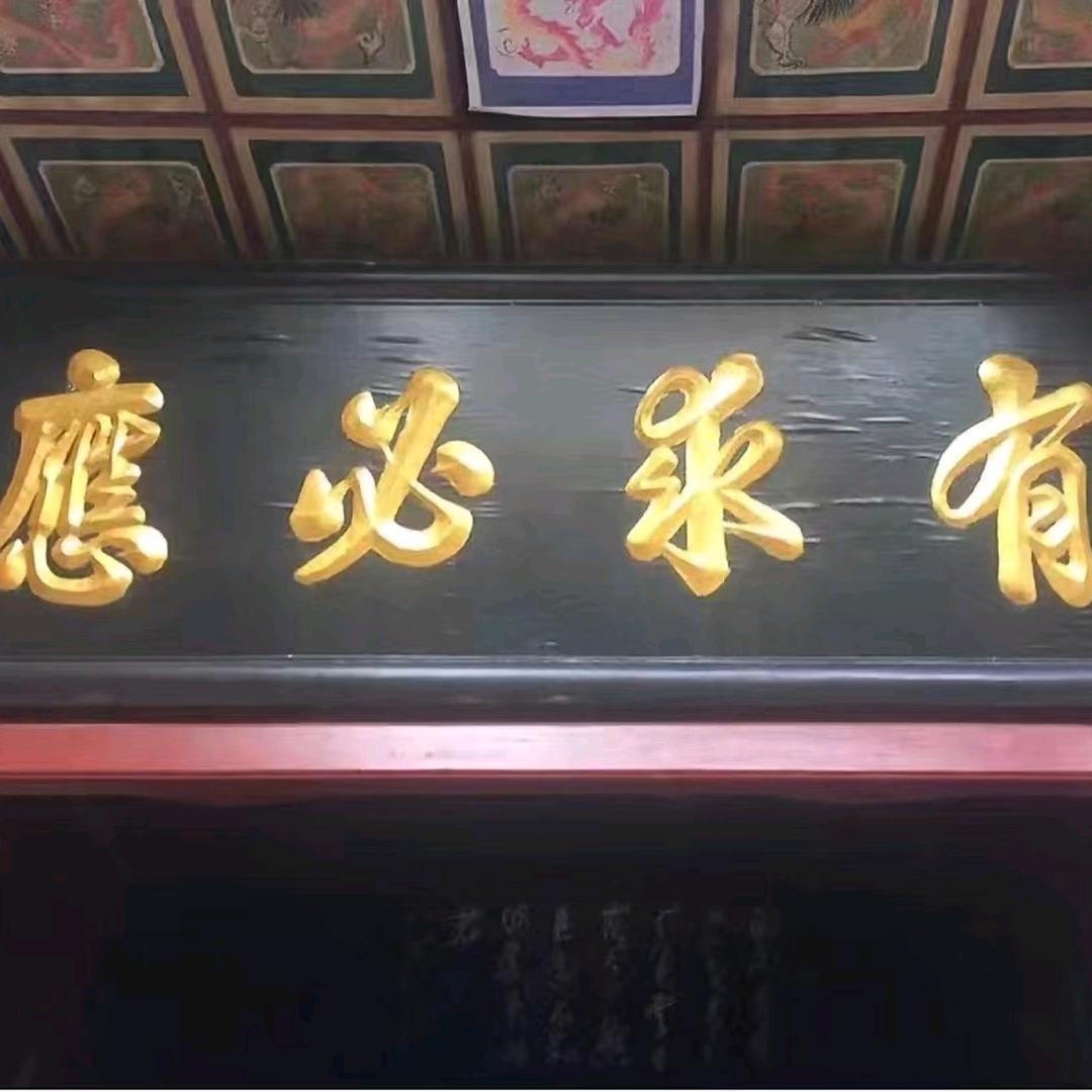 通跃生物科技（售骨粉  肉粉）